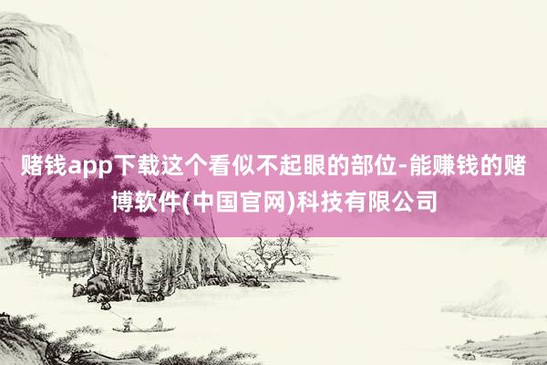 赌钱app下载这个看似不起眼的部位-能赚钱的赌博软件(中国官网)科技有限公司